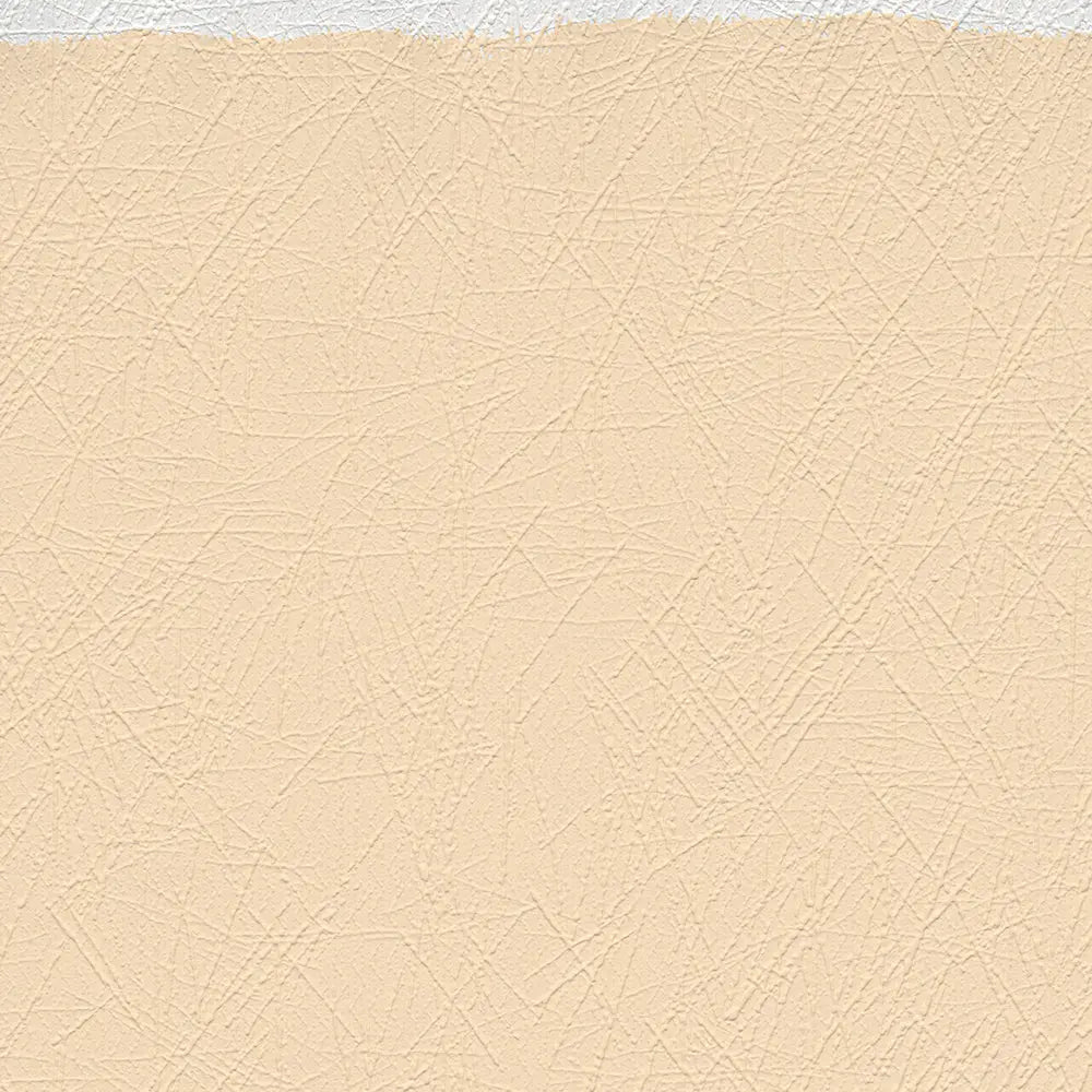 Malervlies Krazputzoptik | Vliestapete