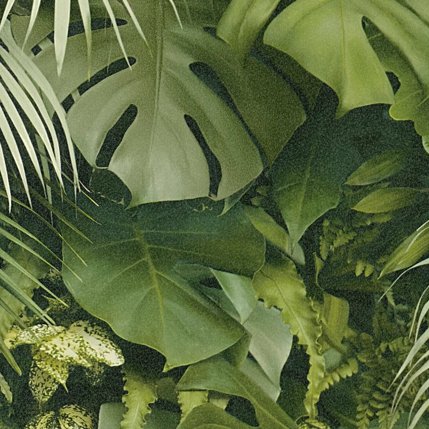 Amazonia Jungle | Vliestapete