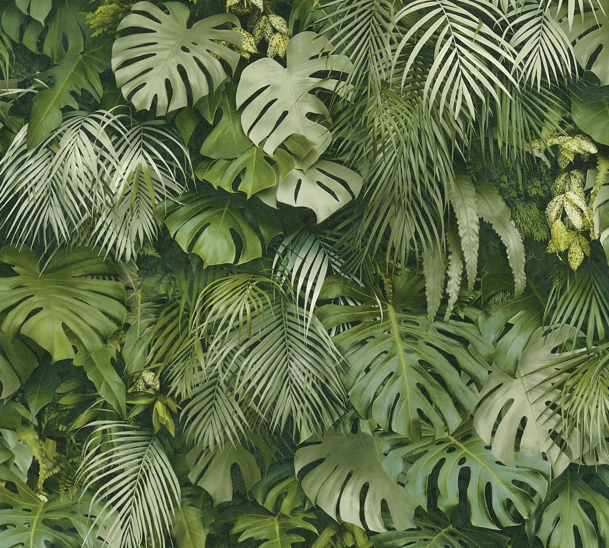 Amazonia Jungle | Vliestapete