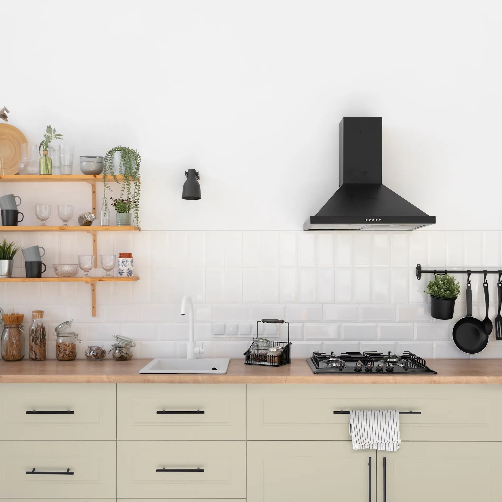 Möbellack – Gelassener Wüstenreiter