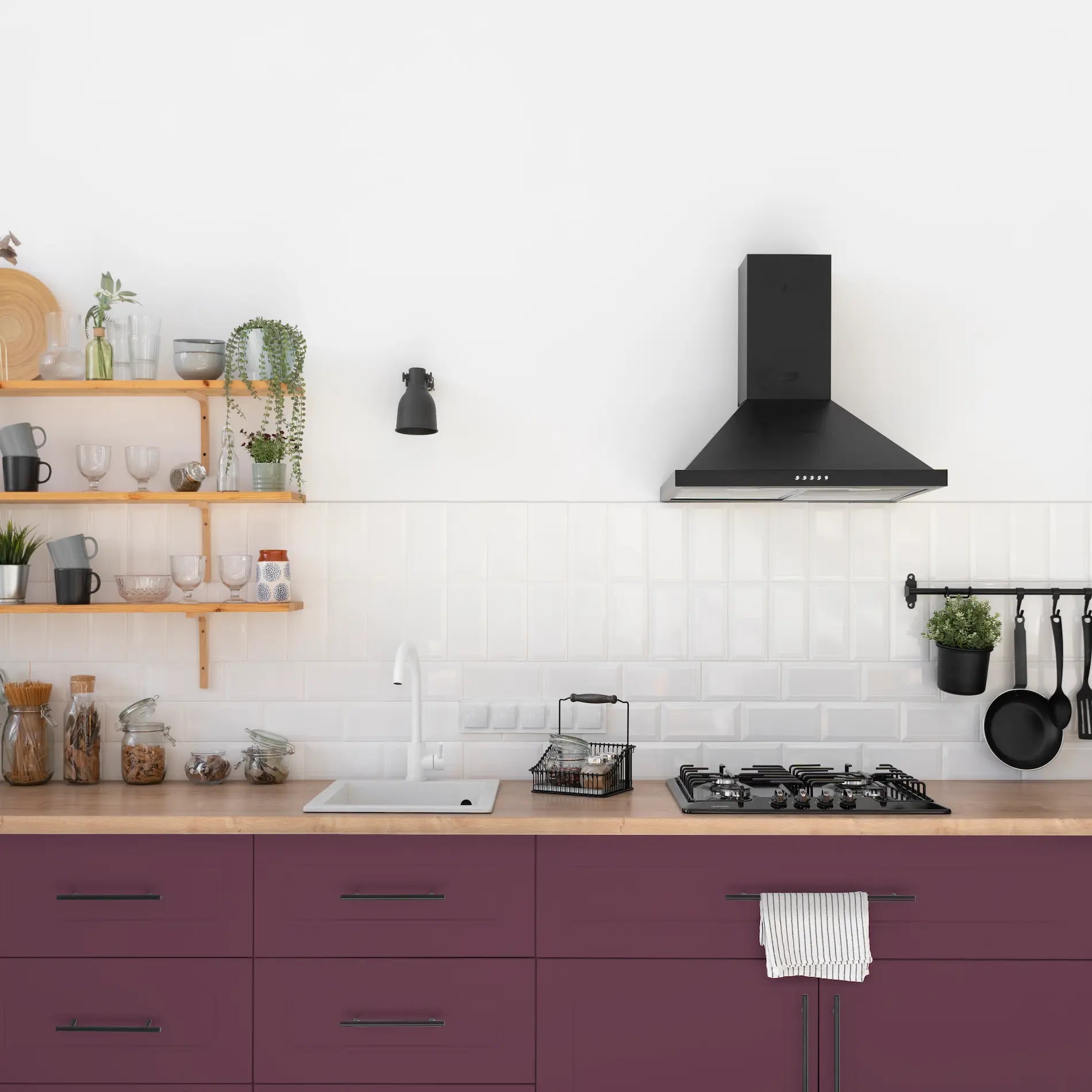 Möbellack – Königliche Nachtigall