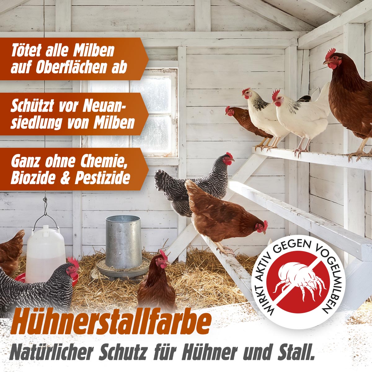 Hühnerstallfarbe – Natürlicher Schutz für Hühner und Stall