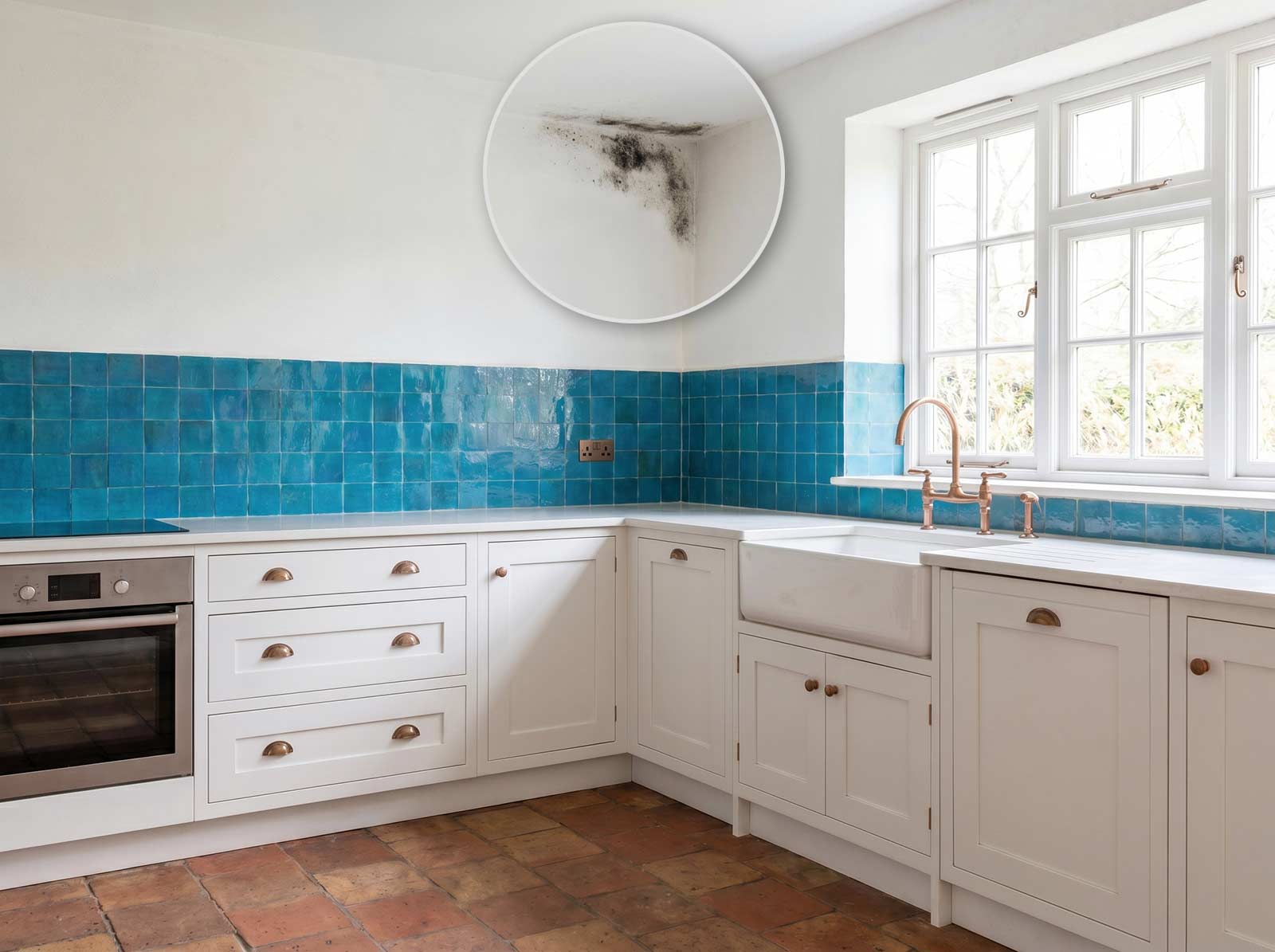 Schimmel an der Wand: Ursachen und Beseitigung