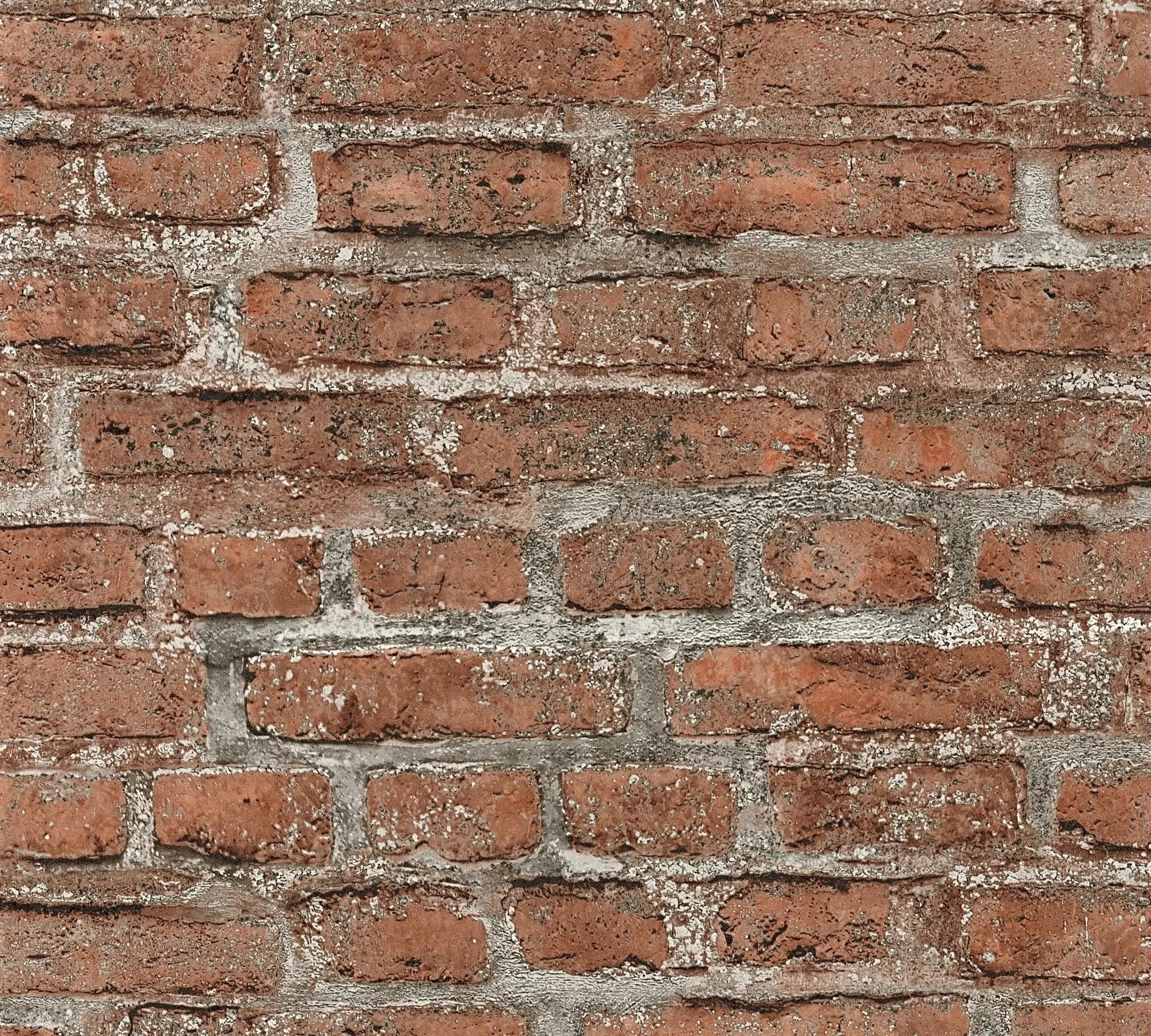 Maison de Pierre | Vliestapete