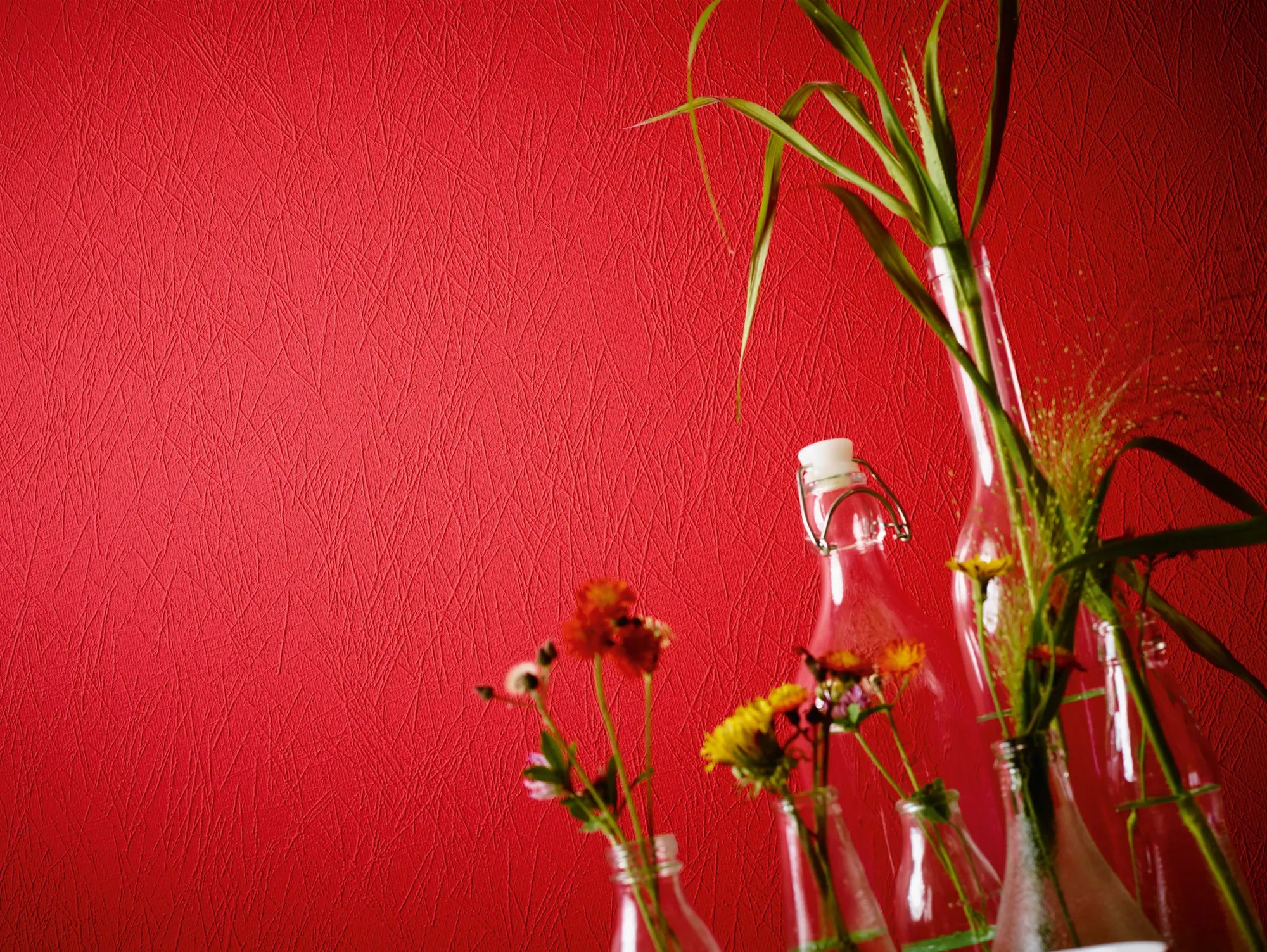 Malervlies Krazputzoptik | Vliestapete