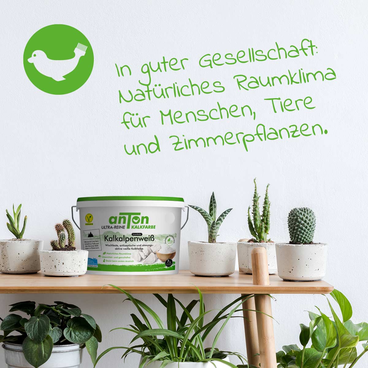 anTon Kalkfarbe für innen - Jetzt 25% mehr Inhalt