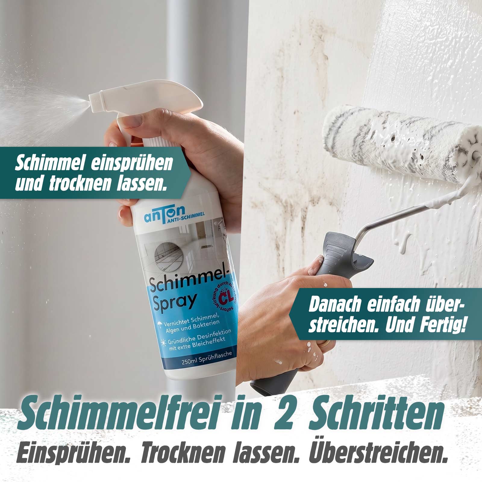 Anti-Schimmel-Set - Sprühen. Streichen. Fertig.