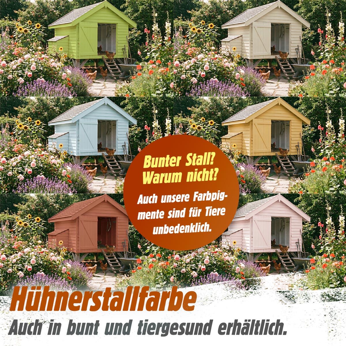 Hühnerstallfarbe auf Kalk- und Kieselgur-Basis – stoppt Milbenbefall, gesunde Hühner