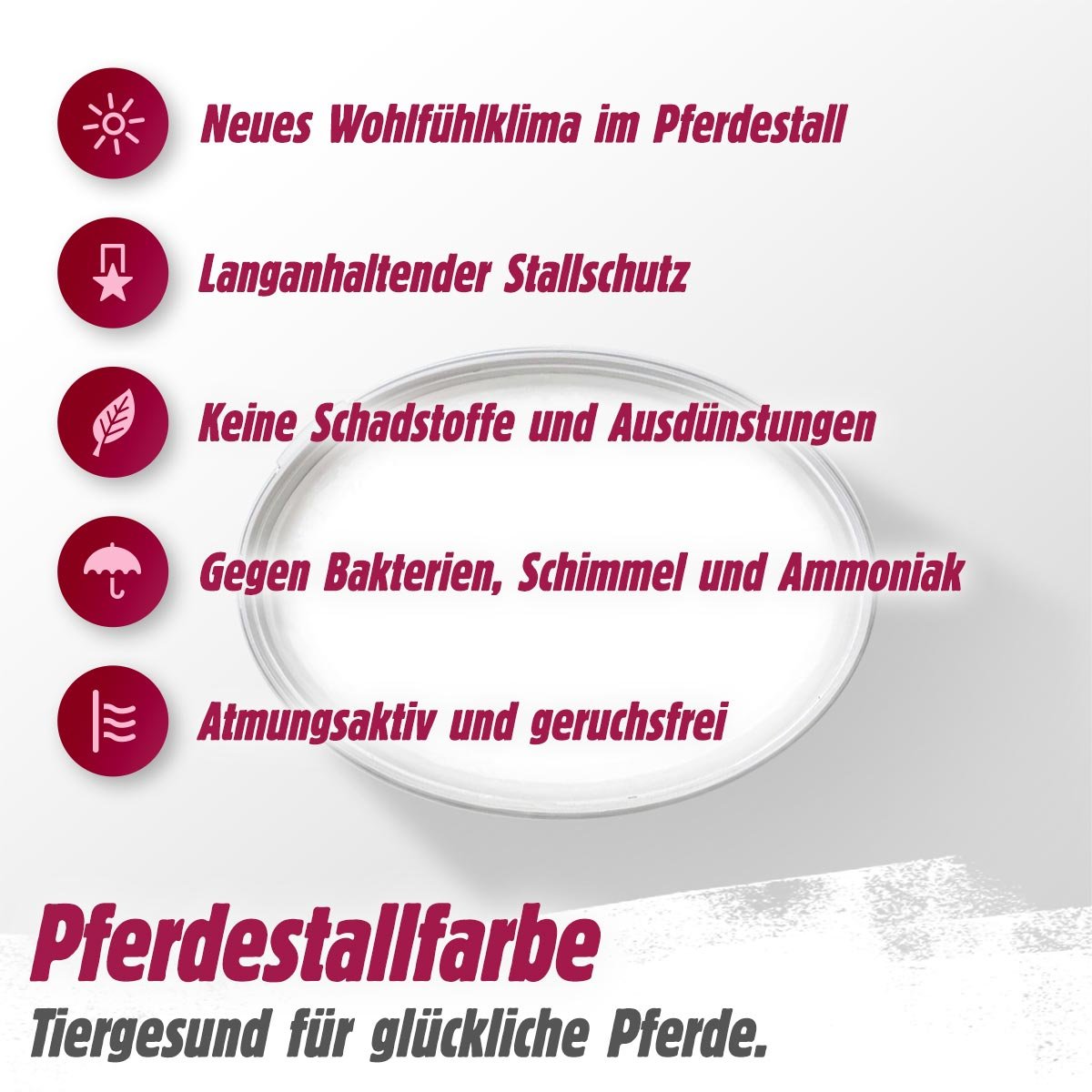 Pferdestallfarbe – mineralischer Schutz auf Kalkbasis für Stall und Boxen