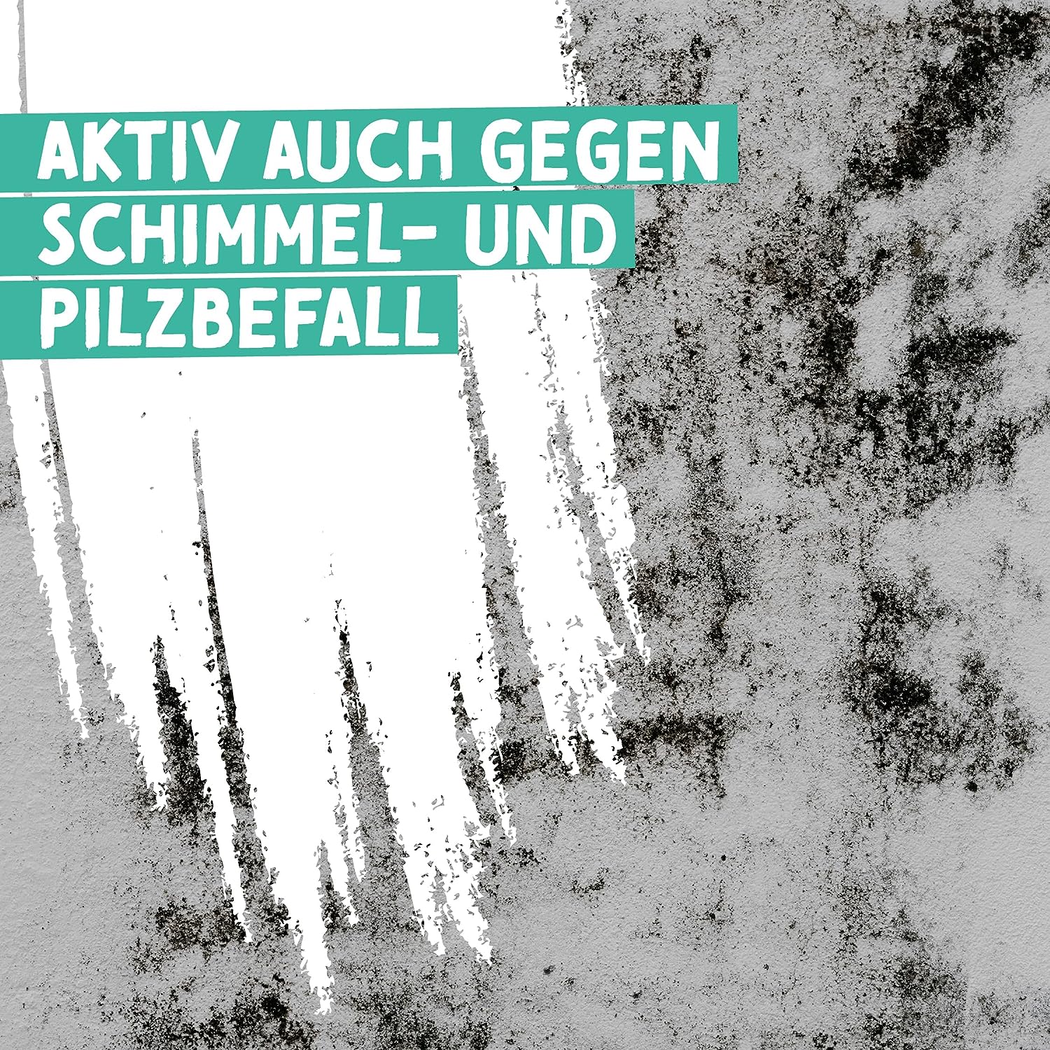 hochqualitativ, Eimer aus premium Plastik, Antischimmelfarbe, Farbe für feuchte Räume, gegen Pilzbefall